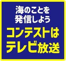 3 海について楽しく学びを発信しよう！夏休みの自由研究に