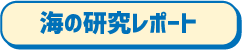 海の自由研究